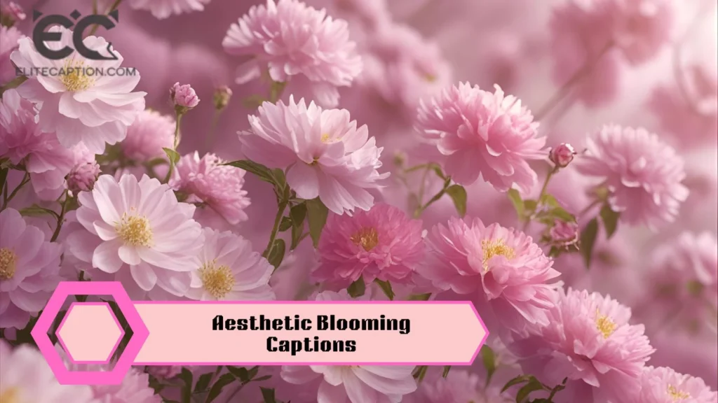 Aesthetic Blooming Captions