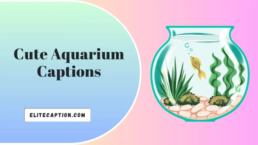 Cute Aquarium Captions