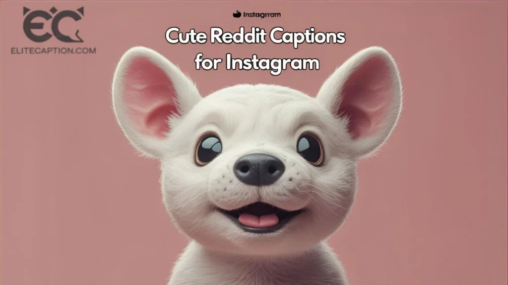 Cute Reddit Captions for Instagram