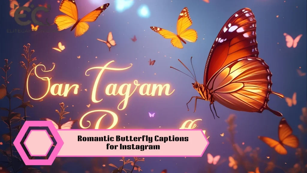 Romantic Butterfly Captions for Instagram