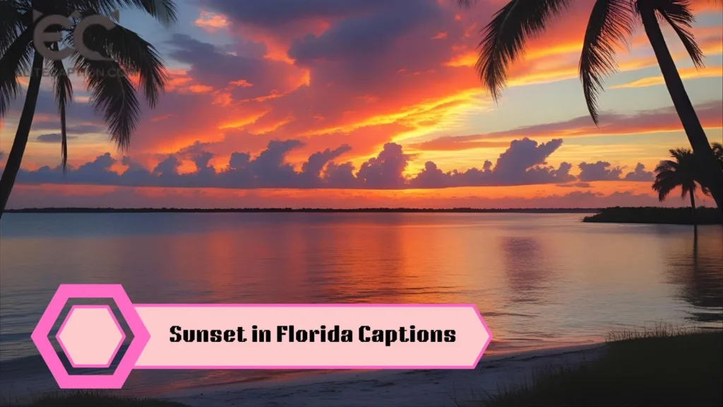 Sunset in Florida Captions