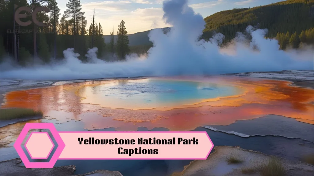 Yellowstone National Park Captions