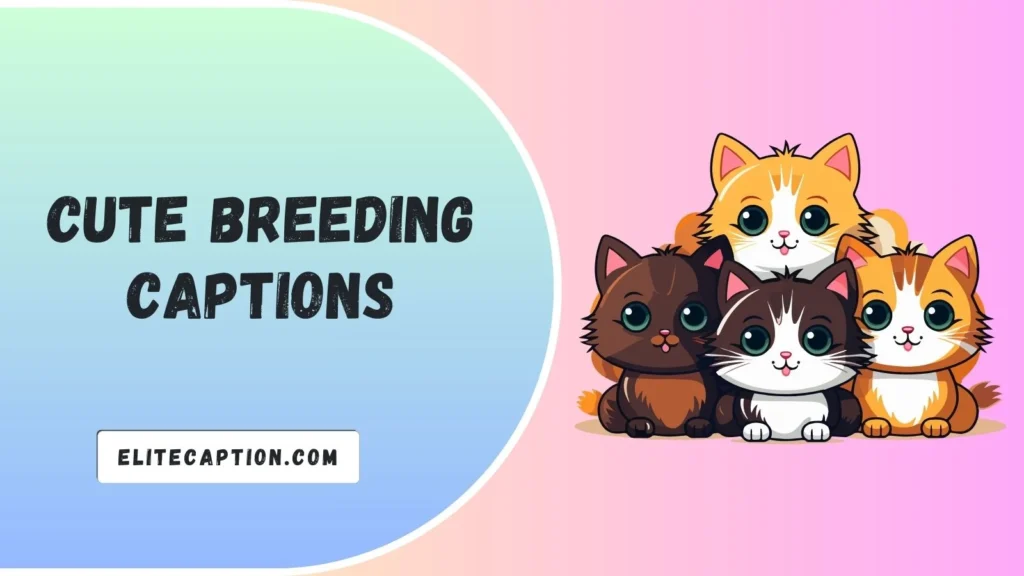 Cute Breeding Captions