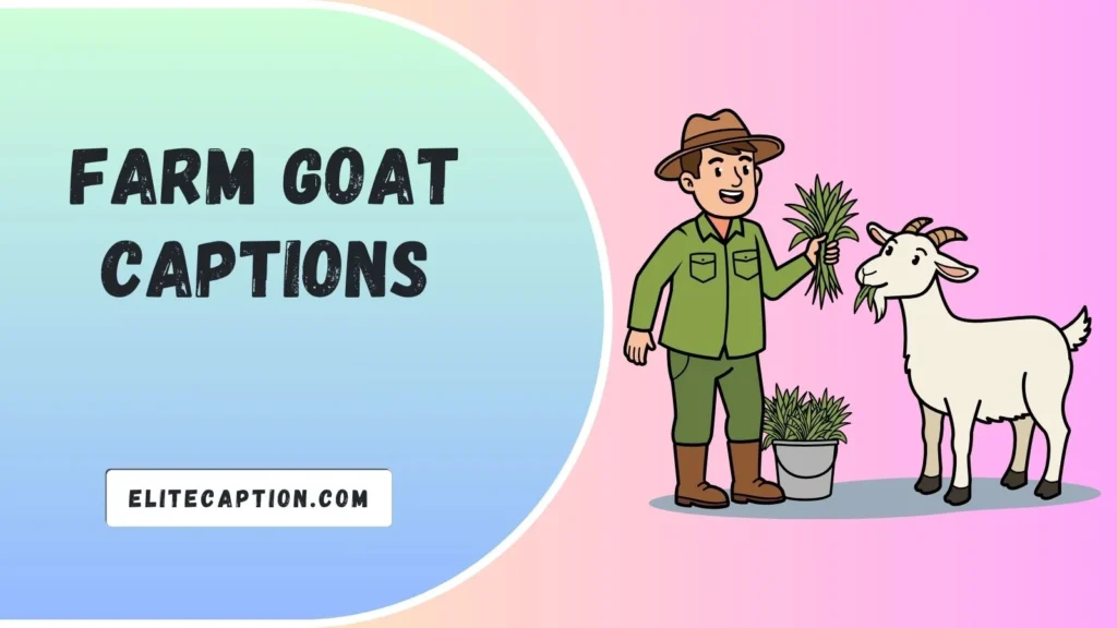 Farm Goat Captions