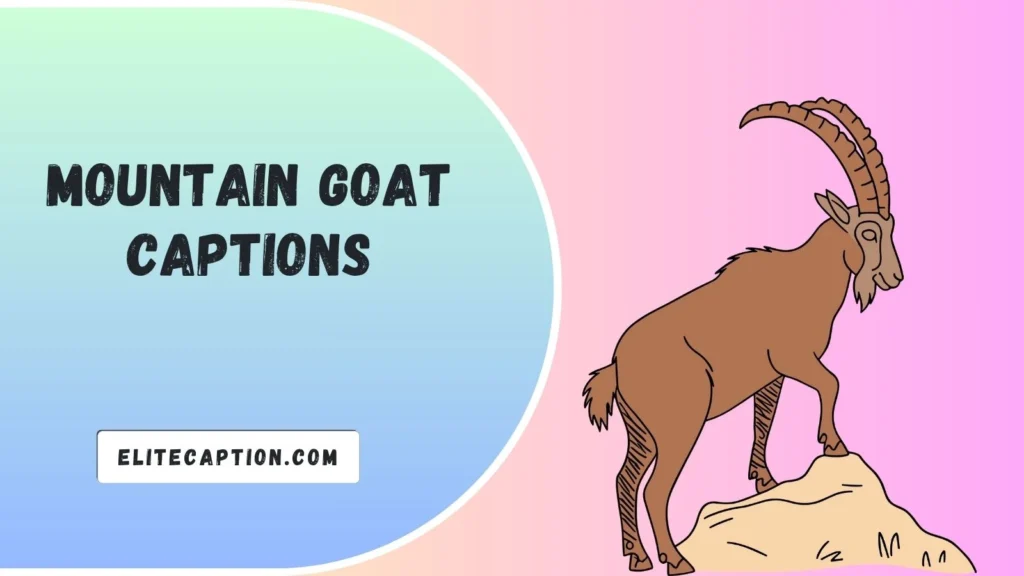 Mountain Goat Captions