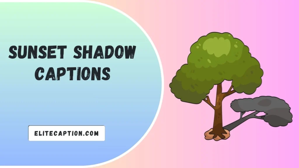 Sunset Shadow Captions