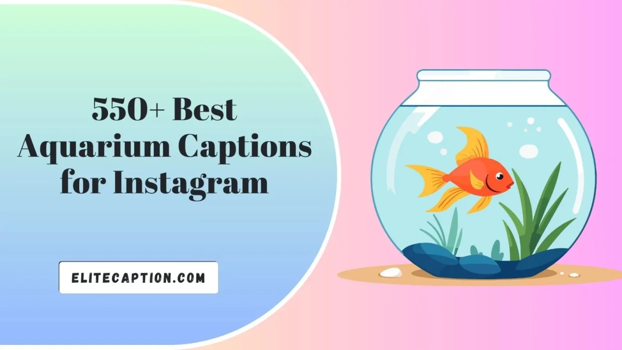 Aquarium Captions for Instagram