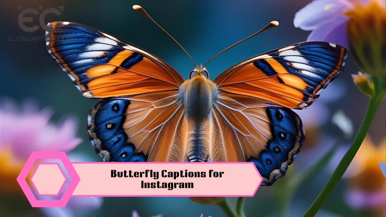 Butterfly Captions for Instagram