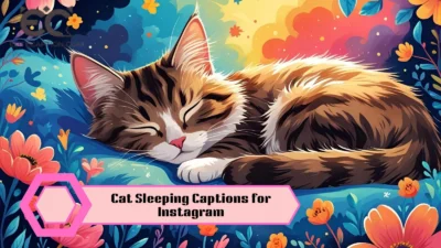 Cat Sleeping Captions for Instagram