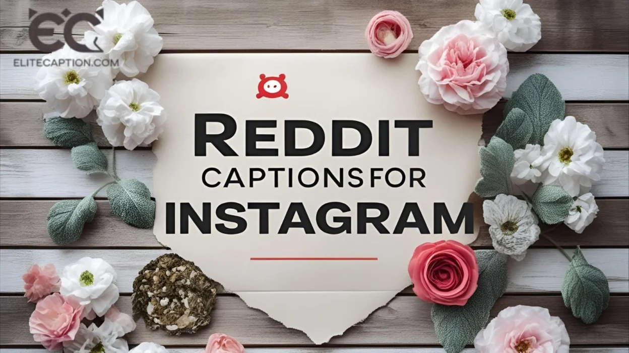 Reddit Captions for Instagram