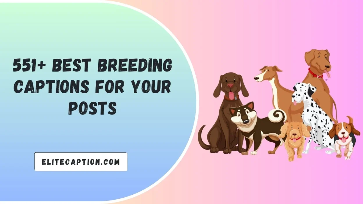 Breeding Captions for Your Posts