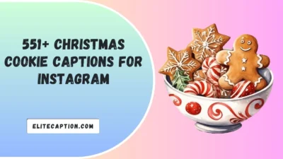Christmas Cookie Captions for Instagram
