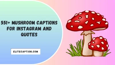 Mushroom Captions For Instagram And Quotes