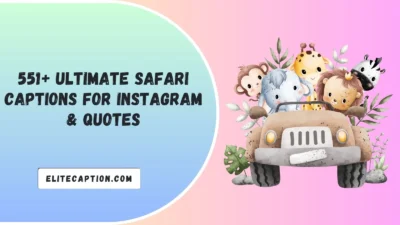Safari Captions For Instagram & Quotes