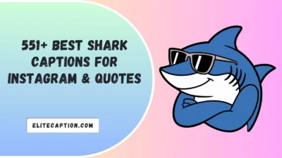 Shark Captions For Instagram & Quotes