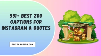 Zoo Captions For Instagram & Quotes