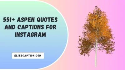 Aspen Quotes and Captions For Instagram