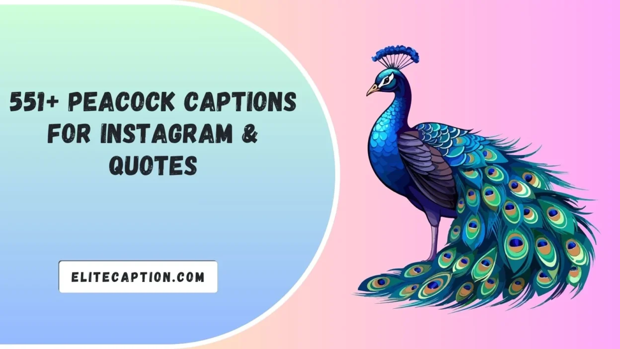 Peacock Captions For Instagram & Quotes