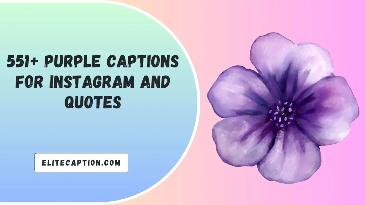 Purple Captions For Instagram And Quotes