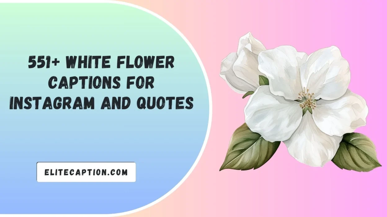 White Flower Captions For Instagram And Quotes
